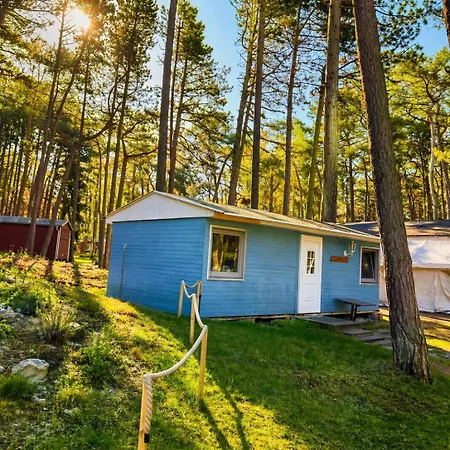 Kemping Schwalbennest -